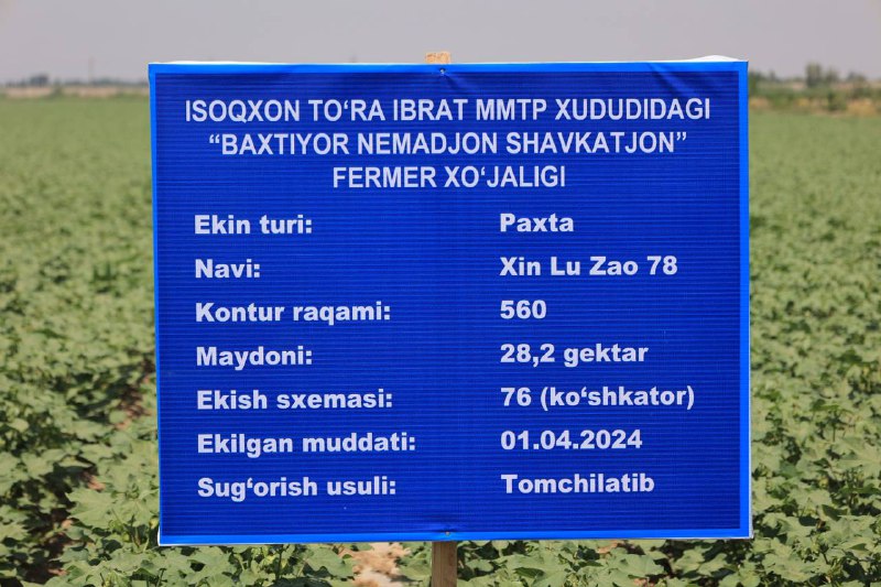 jarayon