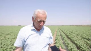 Xabaringiz bor, bu yil mamlakatimizning ma’lum paxta maydonlariga xorijiy chigit urug‘i qadaldi. Bugun ushbu chigit unib, baravj rivojda. Ushbu navlar istiqbolli hisoblanmoqda va unga umidlar katta.