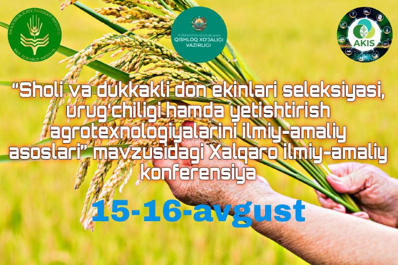 Qishloq xo‘jaligida bilim va innovatsiyalar milliy markazi tizimidagi Sholichilik ilmiy-tadqiqot institutida “Sholi va dukkakli don ekinlari seleksiyasi, urug‘chiligi hamda yetishtirish…