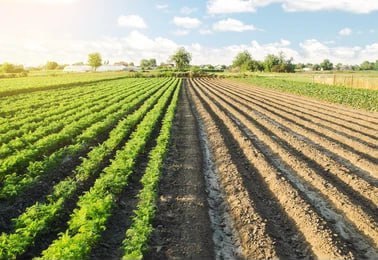 Agro_tavsiya