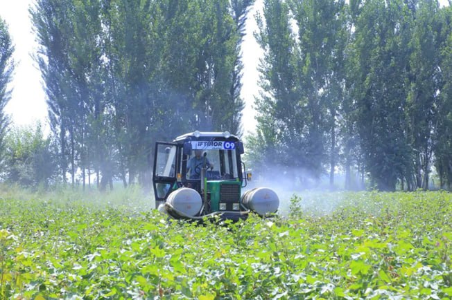 Agrotavsiya