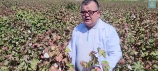 AGRO_TAVSIYA