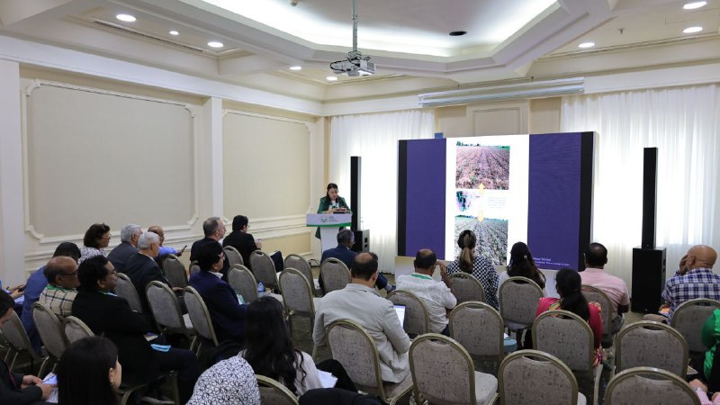 Ayni paytda poytaxtimizdagi “International Hotel Tashkent” mehmonxonasida  “VIII Butunjahon paxta tadqiqot konferensiyasi" doirasida bir qator plenar sessiyalar bo'lib o'tmoqda.