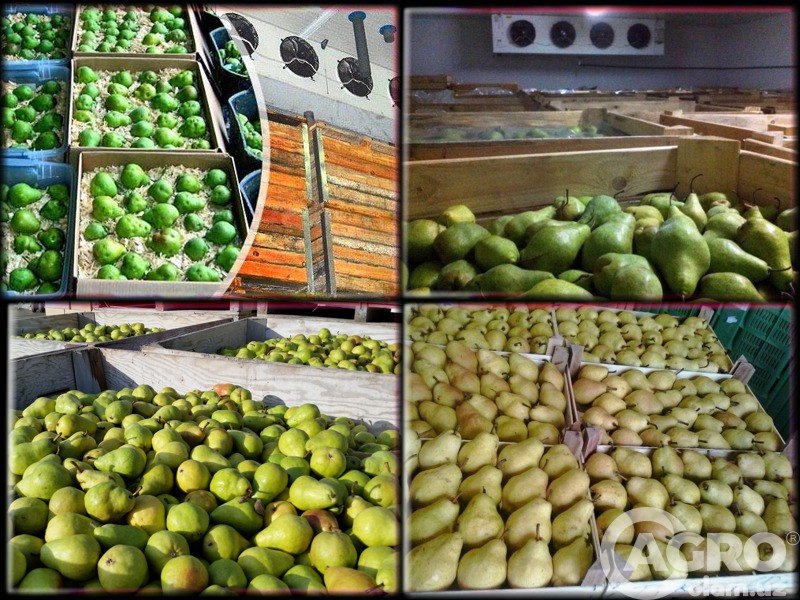 AGRO_TAVSIYA