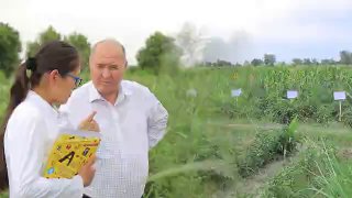 BUXORO VILOYATI TUPROQ-IQLIM SHAROITIGA MOS POMIDOR NAVLARINI YETISHTIRISH BO‘YICHA TADQIQOT OLIB BORILMOQDA