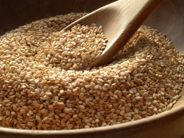 AGRO_TAVSIYA