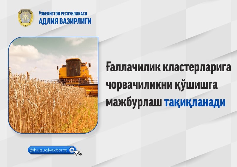 Биласизми